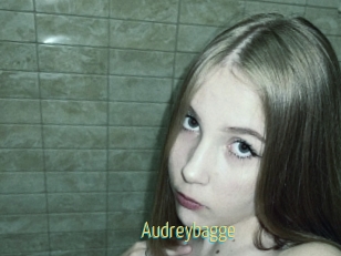 Audreybagge