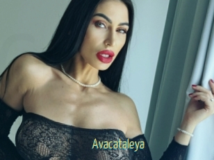 Avacataleya