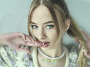 Aviangel