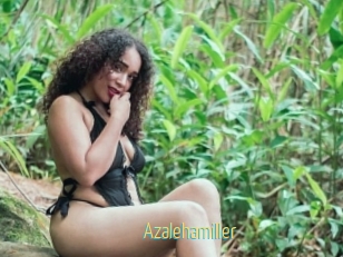 Azalehamiller