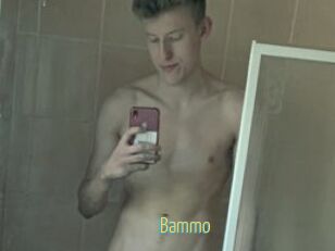 Bammo