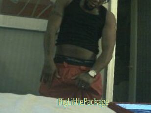 BigLittlePackage