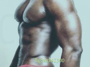 BigSnack42300
