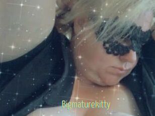 Bigmaturekitty