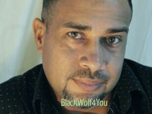 BlackWolf4You