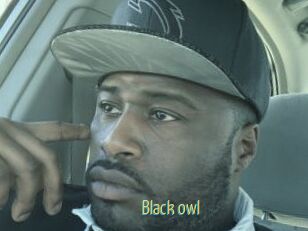 Black_owl