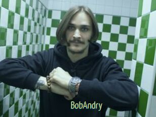 BobAndry