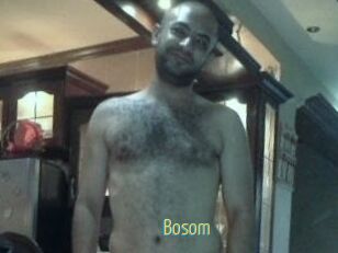 Bosom