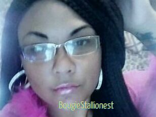 BougieStallionest