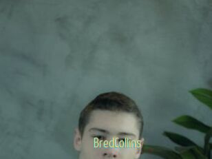 BredCollins