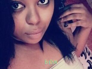 BriDsM