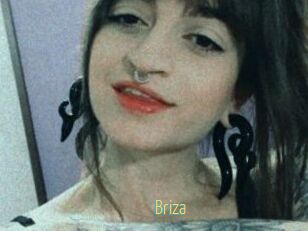 Briza