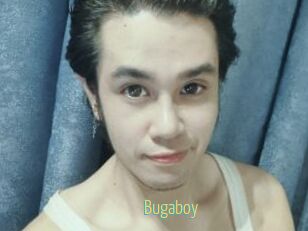 Bugaboy