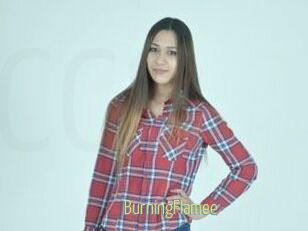 BurningFlamee