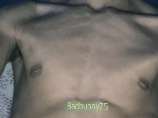 Badbunny75