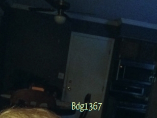 Bdg1367
