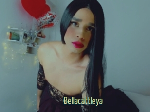 Bellacattleya