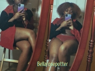 Bellarosepotter