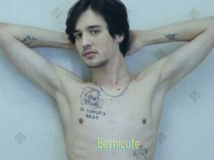 Bernicute