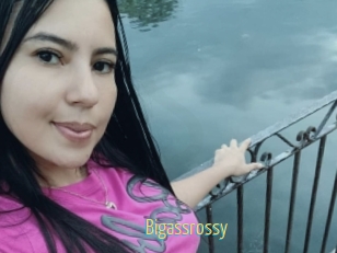 Bigassrossy