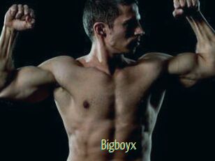 Bigboyx