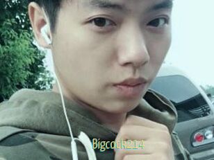 Bigcock214