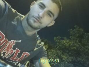 Bigcock_sh