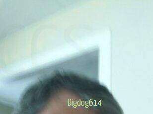 Bigdog614