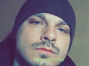 Bigkaneswonder