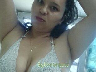 Bigtitsmariposa
