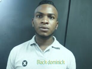Black_dominick