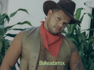 blakeadamsx Chaturbate Cam Sexe