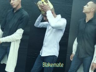 Blakemate