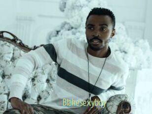 Blakesexyboy