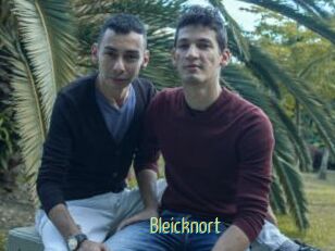 Bleicknort