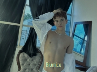 Blumice