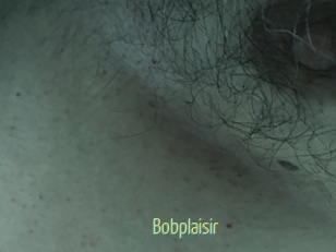 Bobplaisir