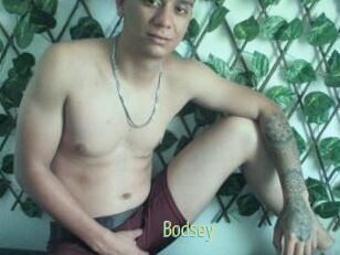 Bodsey