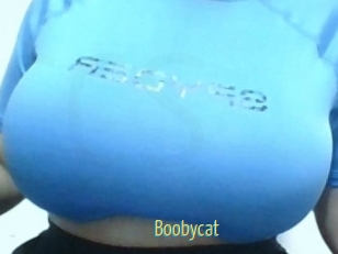 Boobycat