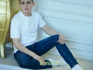 Brandonbud