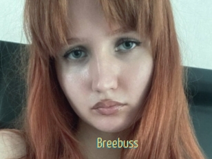 Breebuss
