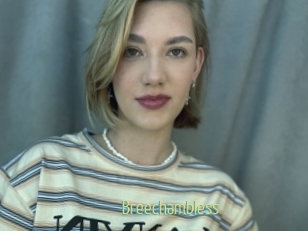 Breechambless