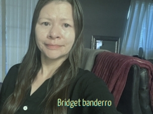 Bridget_banderro
