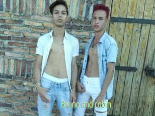 Bruno_and_robin