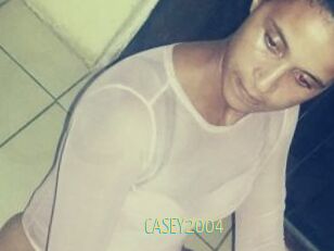 CASEY2004