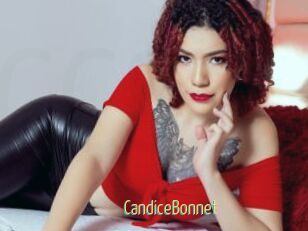 CandiceBonnet