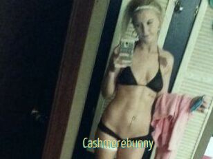 Cashmerebunny