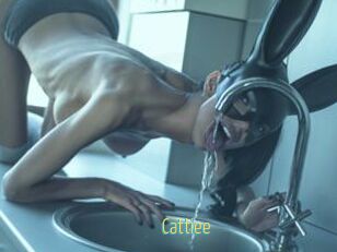 Cattiee