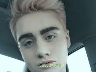 CeeJayTaylorr