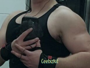 Ceebizkit